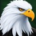 illeagle (@chrisnotes2024) Twitter profile photo illeagle (@chrisnotes2024) Twitter profile photo