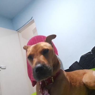 Cakr0_'s profile picture. qsy solo hago dibujitos