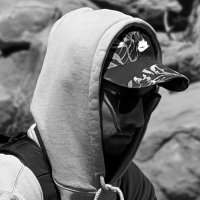 dropwizz (@dropwizz) 's Twitter Profile