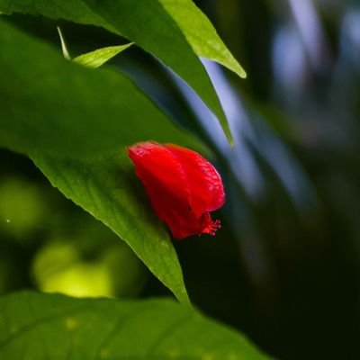 Fry afficionado | Nature Photographer| Virtual Assistant