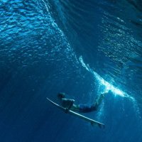 小粒と… (@p10322) Twitter profile photo