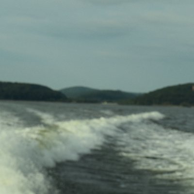 RyanMon8282's profile picture. 