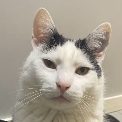 Sebasti68179713's profile picture. 
