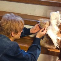 주문을외워34 (@s2oh11) 's Twitter Profile