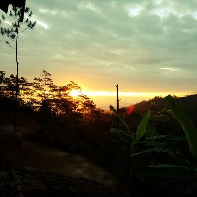 agusry's profile picture. 