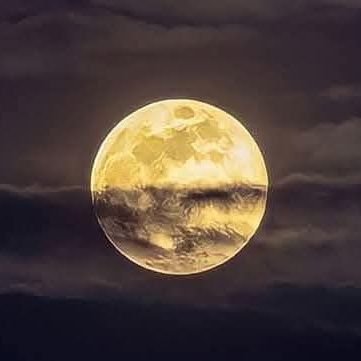 Sai_GaneshParve's profile picture. You may see Tired, Struggling , But you will never see me quitting🔥.
Proudly Indian🇮🇳.

https://t.co/5ULwDTelWb