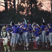Riverwood Baseball (@ricsbaseball) 's Twitter Profile