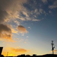 Okaka (@cuxvulddpoicw1v) 's Twitter Profile