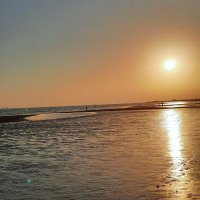 امیر شفیق (@amirsh60) 's Twitter Profile