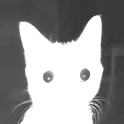 INFL8180685's profile picture. 🚀 $INFL8 – The coin that’s rising while they’re still deciding. 💥
💸 Inflation’s never been this fun.
🦸‍♂️ HODL, laugh, and watch us inflate!
#crypto #meme #