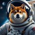 CyberĐoge (@cyberdoge420) Twitter profile photo CyberĐoge (@cyberdoge420) Twitter profile photo