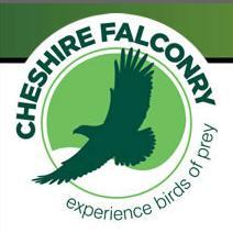 Cheshire Falconry