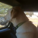 Barry Pratt - @Barry1712 - Twitter