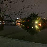 Bella (Ø,G) 🦭/acc (@bella_vikram) 's Twitter Profile