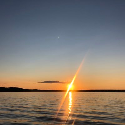 vivekjindal59's profile picture. Owns two cats. Freyja (11 year old) and Anya (4 year old).