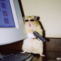 ranki (@orankiro) 's Twitter Profile Photo ranki (@orankiro) 's Twitter Profile Photo