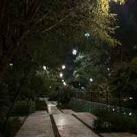 المطيري (@ryannalmutairi) 's Twitter Profile Photo المطيري (@ryannalmutairi) 's Twitter Profile Photo