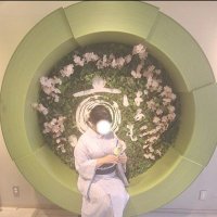*𝐍𝐞𝐛𝐨® (@sncrmpg_kf) 's Twitter Profile
