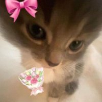 mylink_09 (@mylink099) 's Twitter Profile