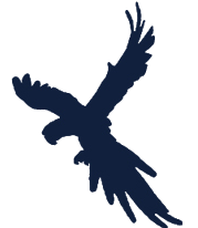 Rioplus20RT's profile picture. Quality, curated posts related to #RioPlus20 brought to you by @MGCY_UNCSD and @IISDRS.