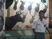 umaamkhoirul's profile picture. 