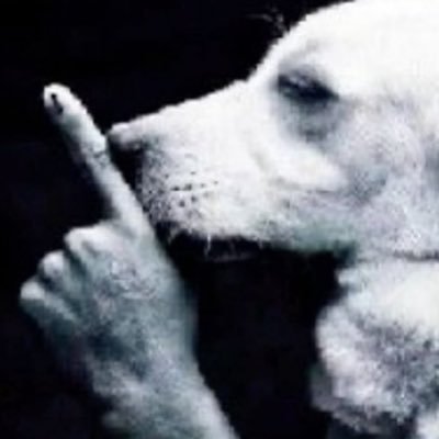 rukionthedrums's profile picture. 