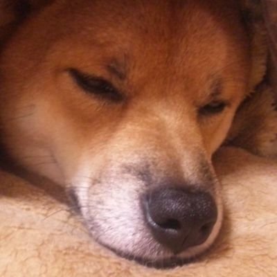 oTzOLXAtQ7T0jM8's profile picture. 