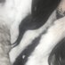 𝐇𝐚𝐧𝐚 (@3__hananah__3) Twitter profile photo 𝐇𝐚𝐧𝐚 (@3__hananah__3) Twitter profile photo