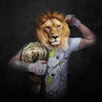 BIG crypto CAT (@bigcatsreal) 's Twitter Profile
