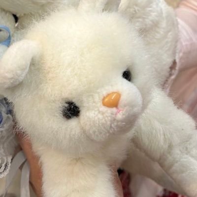 chirobibicat's profile picture. 猫が好きすぎて、きじとら猫の兄弟と暮らしながら猫のぬいぐるみばかり作っています🐱今まで作ったぬいぐるみはハイライトから見られます✨お迎えいただいた方タグ付けなどで見せてください♡ #かぴちぬい