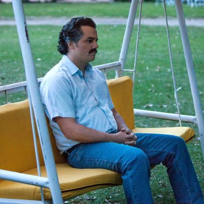 stringer_bell's profile picture. Dos argenté viens de sortir du zoo