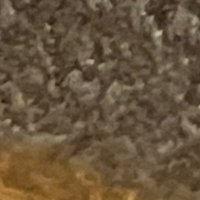 復活の職人k (@korasyokunin) Twitter profile photo