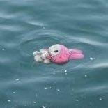 laur_gd's profile picture. 