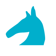 競馬アカデミー・UMADEMIA（ウマデミア） (@umademia) 's Twitter Profile Photo
