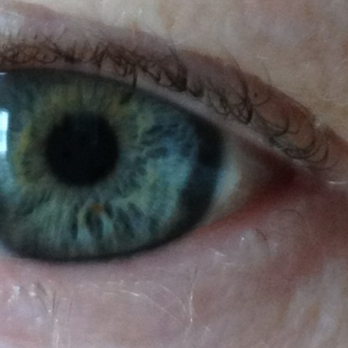 kateristrob's profile picture. 