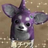 野生のカジキさんのプロフィール画像