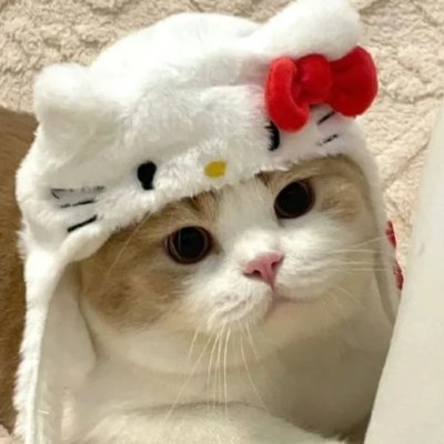 想跟你發生很多秘密故事🈲認親❌傳屌照封鎖
#付費約會 #想白漂的直接拉黑
TG聯絡我:https://t.co/R2sMEIadJJ
Gleezy密我:mmk65