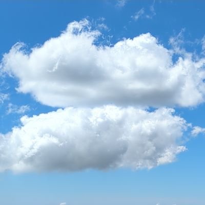 stratatoshi's profile picture. Either the AI kills us or we live free in the Bitcoin Age