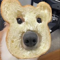 B E T A (@betabtch1369) 's Twitter Profile