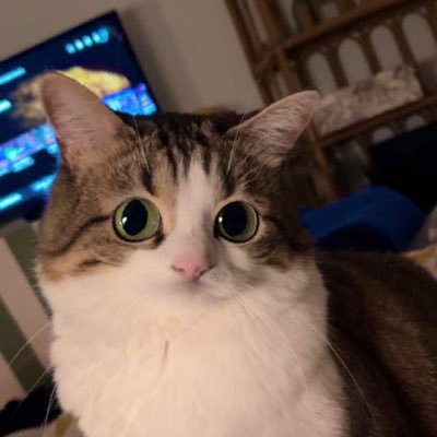 Seratna4's profile picture. 