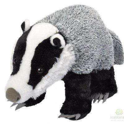 MelesPiotr's profile picture. ktoś pomiędzy Zandbergiem, a Mentzenem.