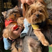 ロキ&ソー LOKI&THOR (@loki20201112) 's Twitter Profile