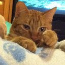 Whitney Prescott - @Whit4President - Twitter