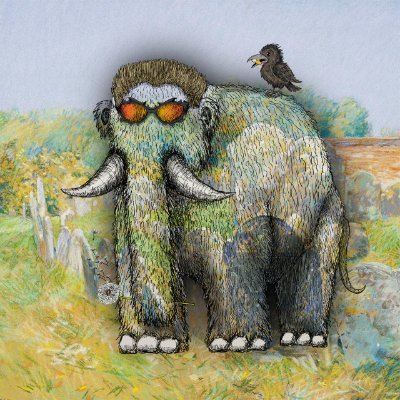 imkkkii's profile picture. this time might work out...