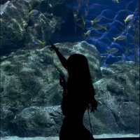 mimimi (@bradynader58525) Twitter profile photo