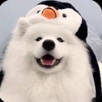 吾尊 (@tkerwz) 's Twitter Profile Photo 吾尊 (@tkerwz) 's Twitter Profile Photo