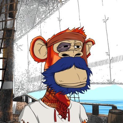 The Canadian Crypto Marauder!🇨🇦 @PirateApe_Crew #4ocean #ElbowsUp