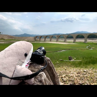 モネ、チ。ウラ漫を見て、起業してた会社を畳んで漫画編集者を目指す事にしました
lol/civ
ラノベ編集も良いかもしれない