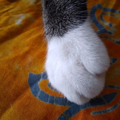 keracunan_lele's profile picture. Pencinta hujan dan cuaca mendung