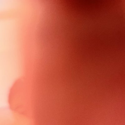 KyleRom32202356's profile picture. I love dogs And I love god